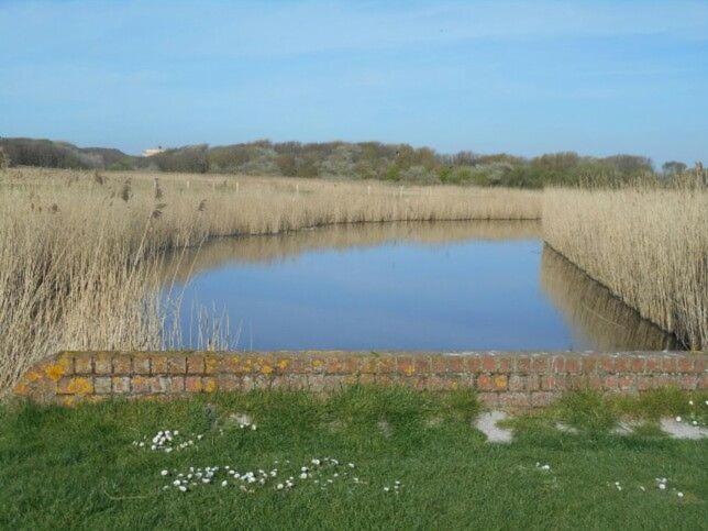 Caravan Aan Zee Arnani Миделкерк Экстерьер фото