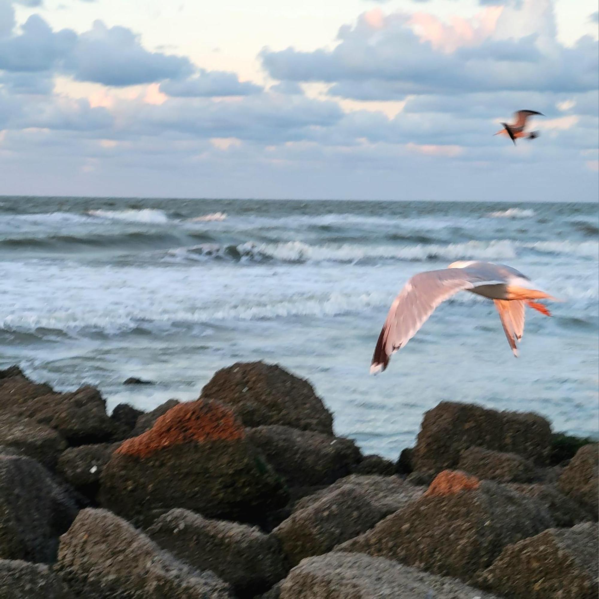 Caravan Aan Zee Arnani Миделкерк Экстерьер фото